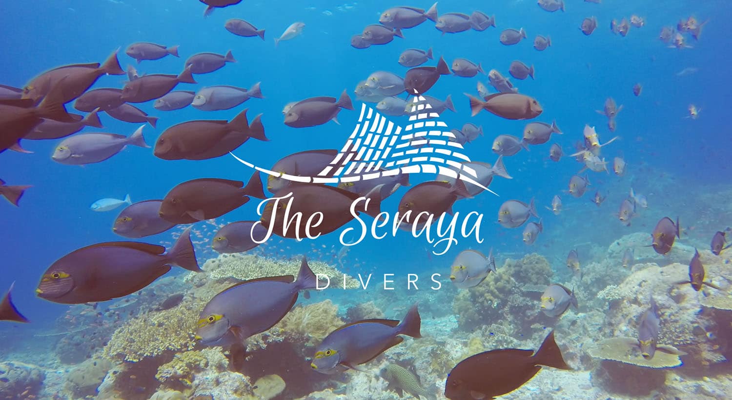 SERAYA DIVERS KOMODO ISLAND