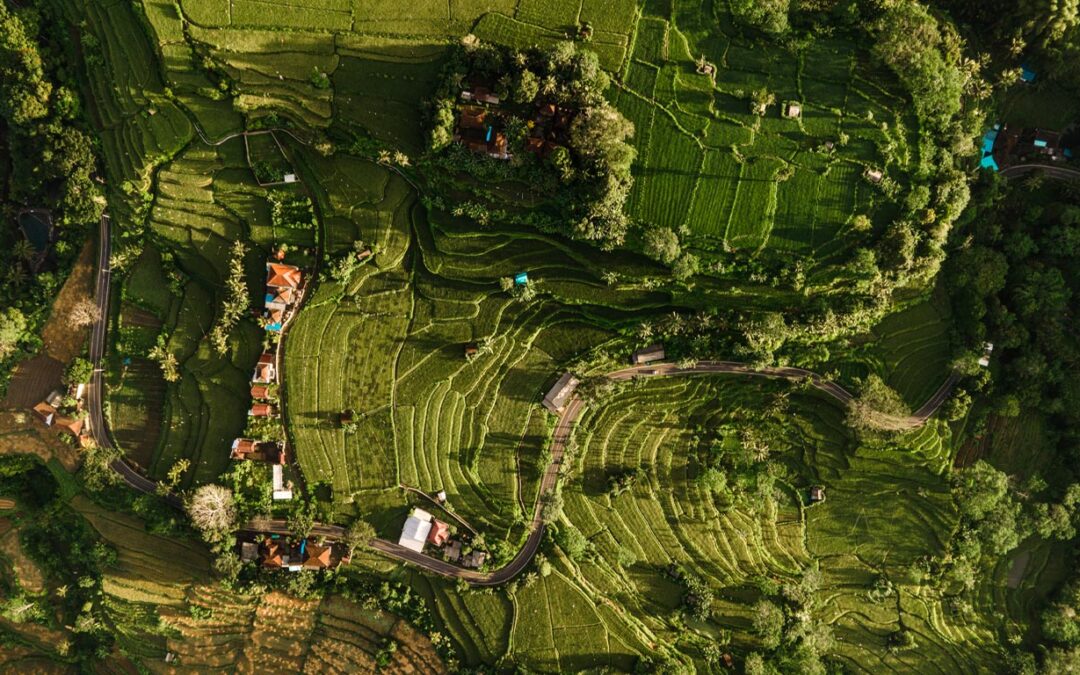Bali is Open Back Again!