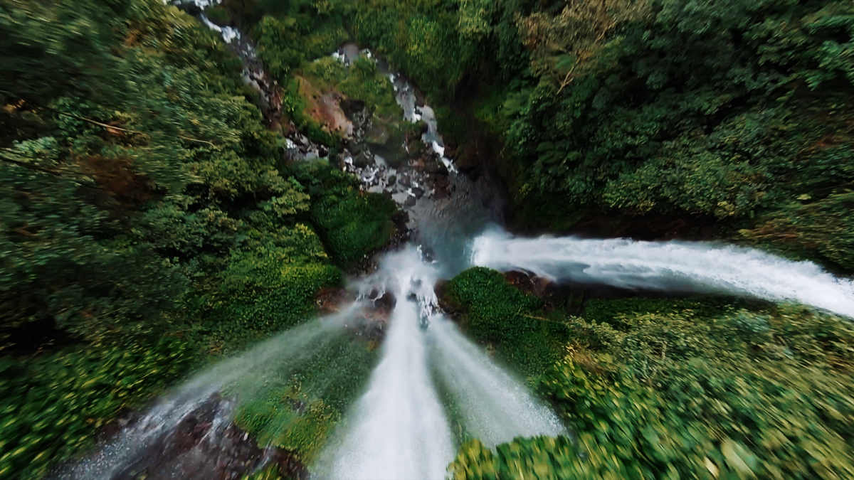 Stronger shoot landscape